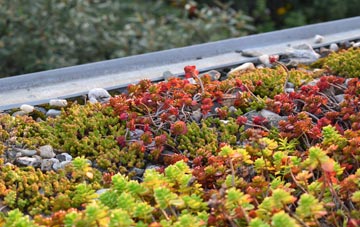 the cost of Caldecote green roof installation