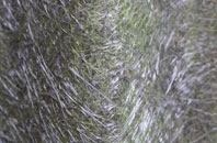 Caldecote fibreglass roof work